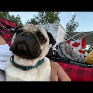 Meet your Posher, Sonja